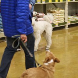 photograph by PeterW